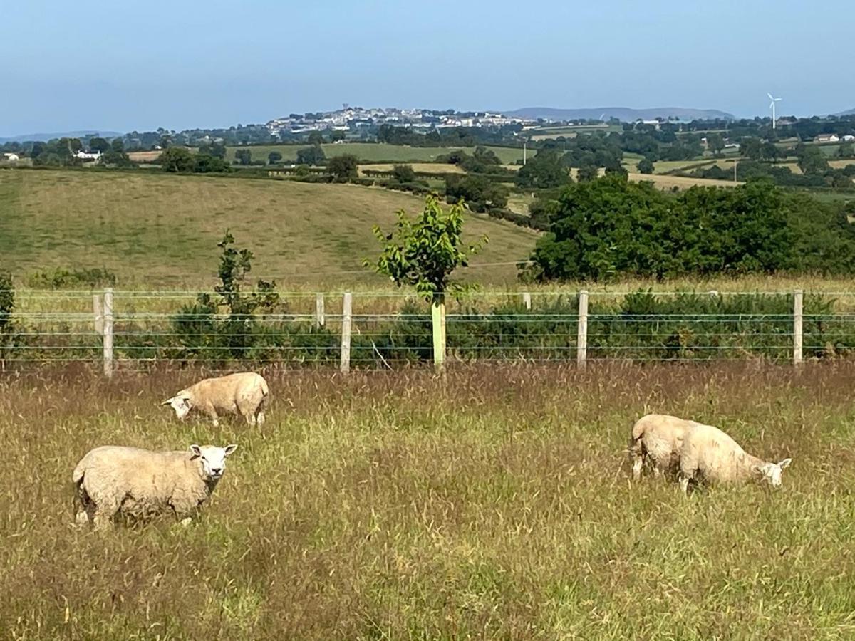 Bramble Cottage Rathfriland Εξωτερικό φωτογραφία