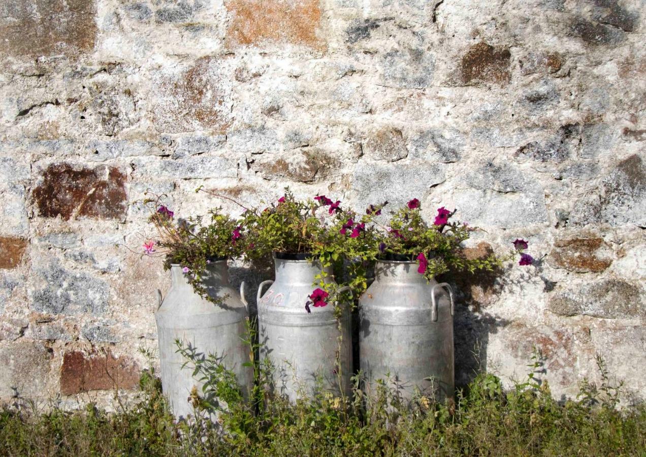 Bramble Cottage Rathfriland Εξωτερικό φωτογραφία