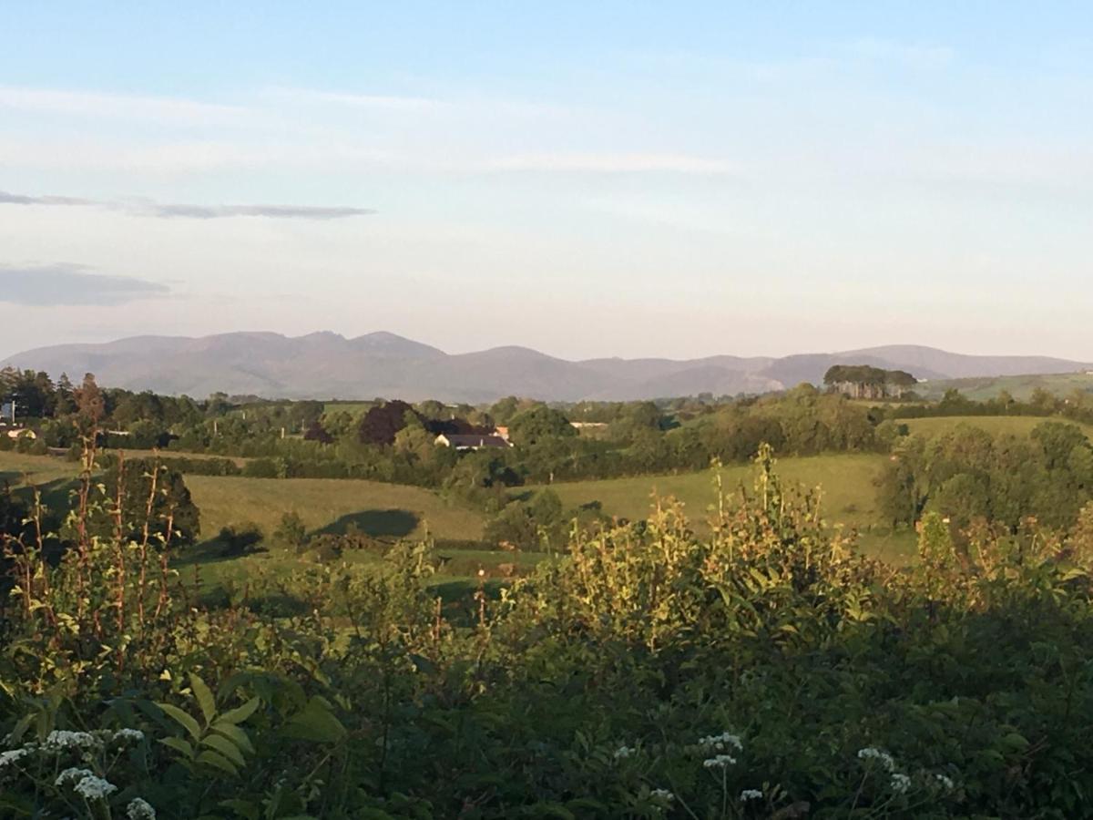 Bramble Cottage Rathfriland Εξωτερικό φωτογραφία